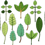 ka电子角色扮演版-ka电子官方安全入口APP下载安卓IOS手机版